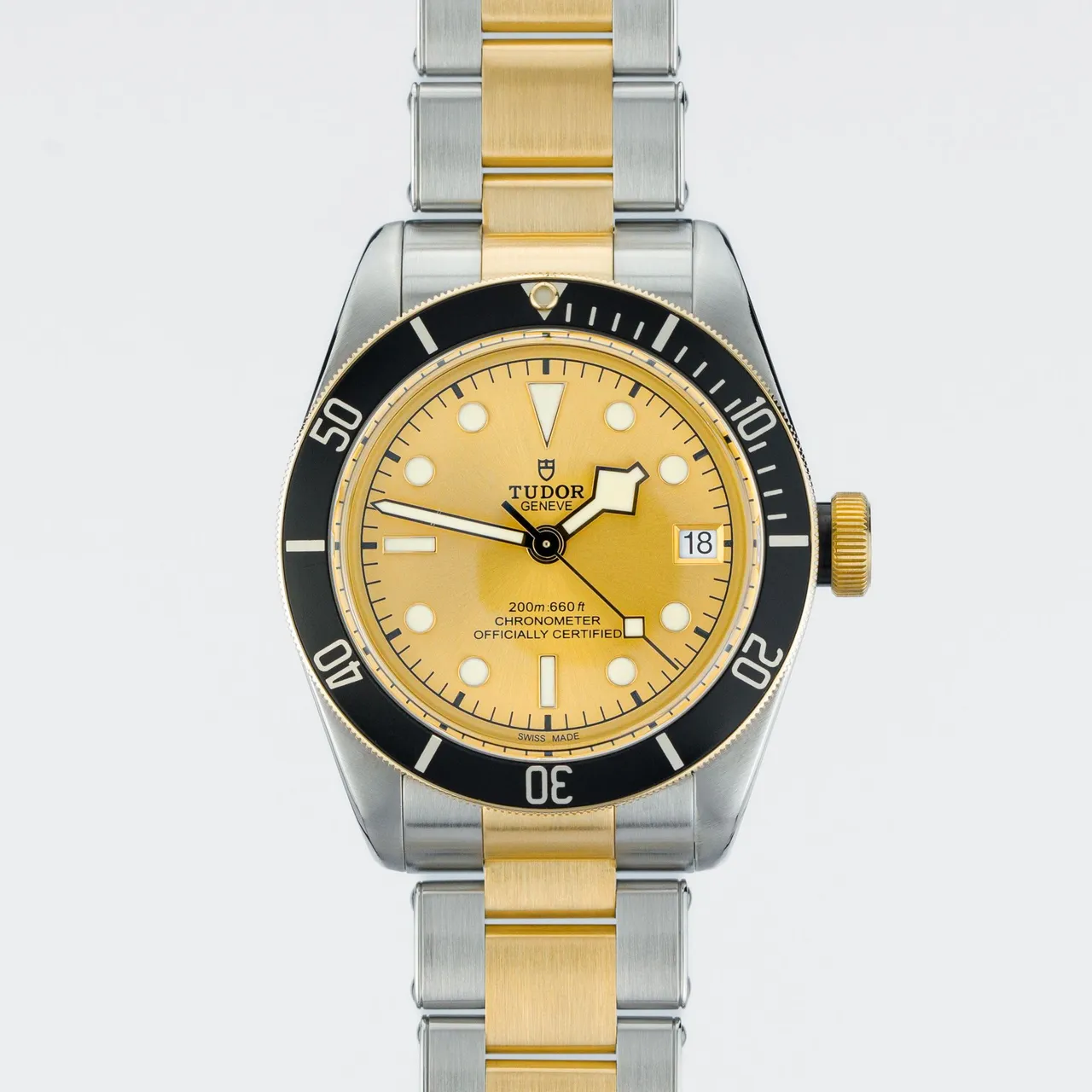 Tudor Black Bay S&G M79733N-0004, a two-tone piece with steel and gold that captures Tudor's range