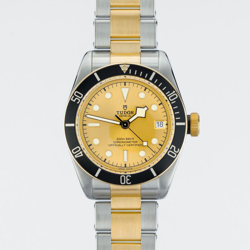 Tudor Black Bay S&G M79733N-0004, a two-tone piece with steel and gold that captures Tudor's range