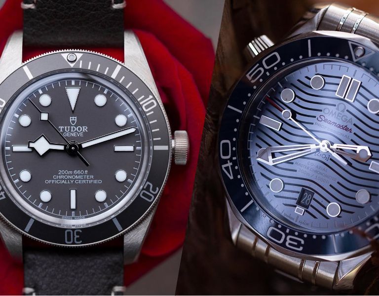 Luxury timepieces collection showcase