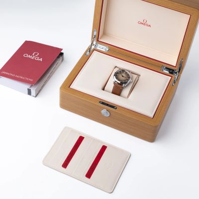Omega Railmaster Co-Axial Master Chronometer Small Seconds 38mm 235.12.38.20.13.001 - Alternate view