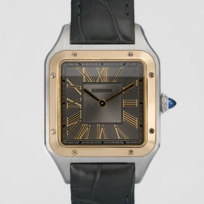 Cartier Santos-Dumont Large Model W2SA0028 - New condition, 2025