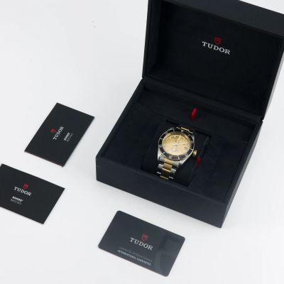 Tudor Black Bay S&G M79733N-0004 - Alternate view