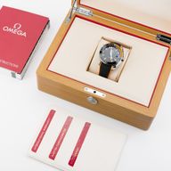 Seamaster Planet Ocean 600M Co-Axial Master Chronometer Orange - Image 2