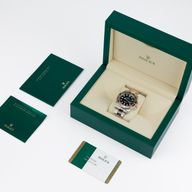 GMT-Master II Root Beer - Image 2