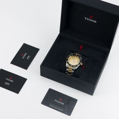 Tudor Black Bay S&G M79733N-0004 - Alternate view