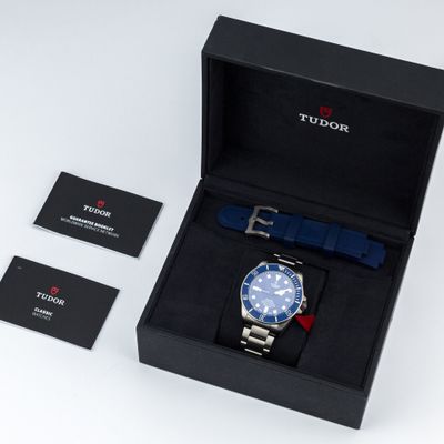 Tudor Pelagos 42 Titanium 25600TB-0001 - Alternate view